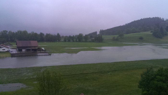 bild (3)